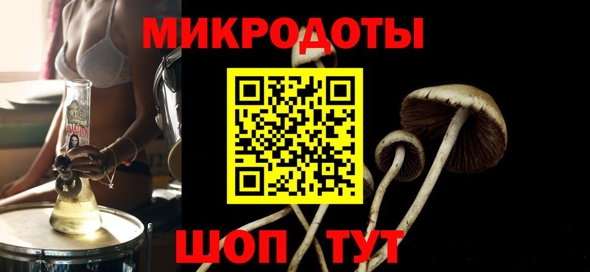 Псилоцибиновые грибы GOLDEN TEACHER  Вход с VPN  Галлюциногенные грибы Psilocybe  Рузаевка 